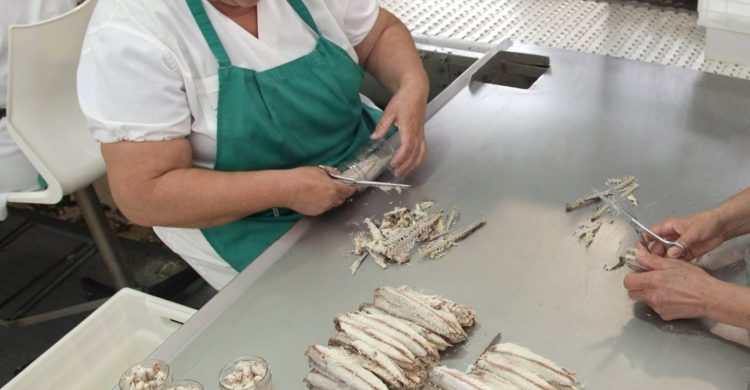 Fábrica despede 97 trabalhadores em Vila do Conde