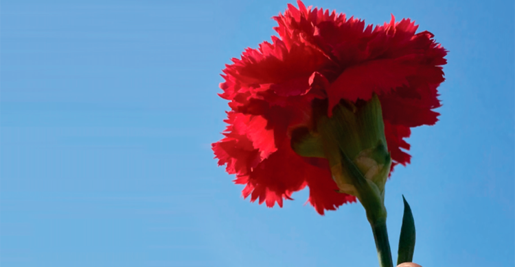 Comemorações do 25 de abril nas freguesias de Vila do Conde