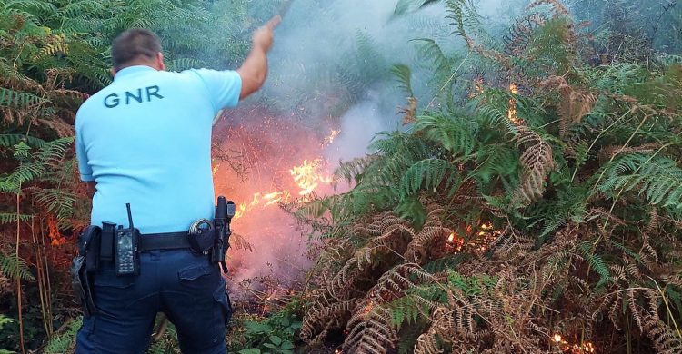 Vila do Conde: detenção em ‘flagrante delito’ por atear fogo