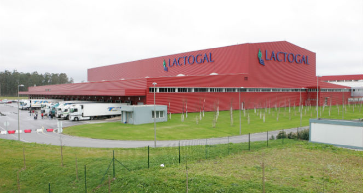 Poluição em Vila do Conde: Lactogal já sabe o que terá de fazer