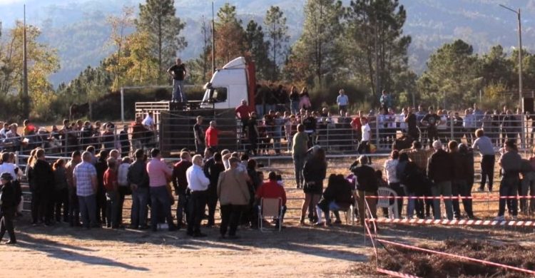 Garraiada em Vila do Conde: BE pede à Câmara que impeça “evento anacrónico”