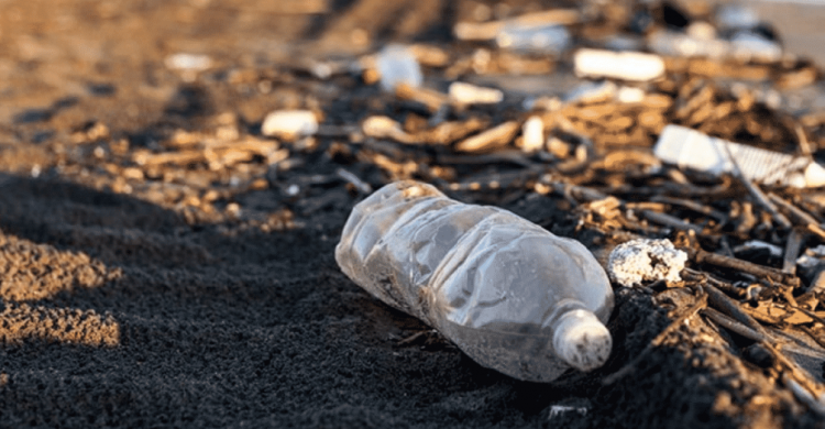 Vila do Conde: cuidado com o lixo, amanhã não há recolha