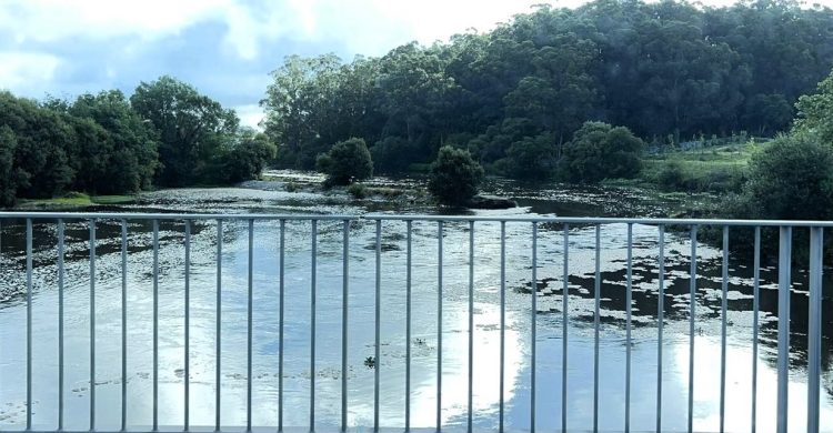 Vila do Conde: poluição volta atacar o rio Ave