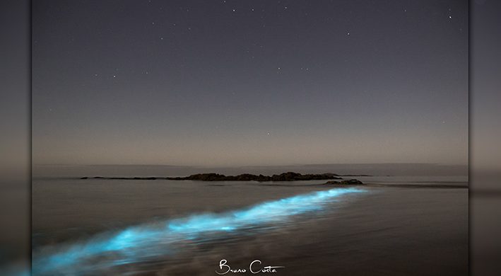 Vila do Conde: “Mar de Experiências” regista ondas iluminadas há 4 anos consecutivos