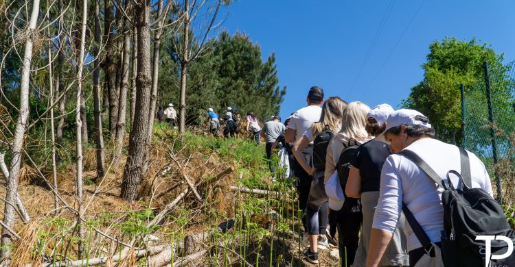 Vila do Conde: Grupo de Jovens convida para caminhada e almoço