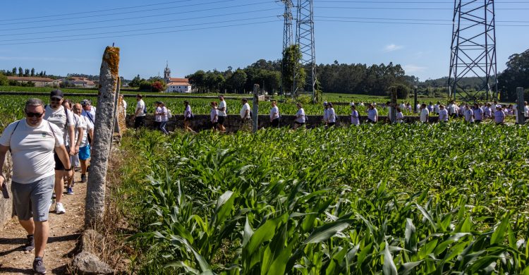 Vila do Conde: há um novo trilho no “Eco-percurso” (com fotos)