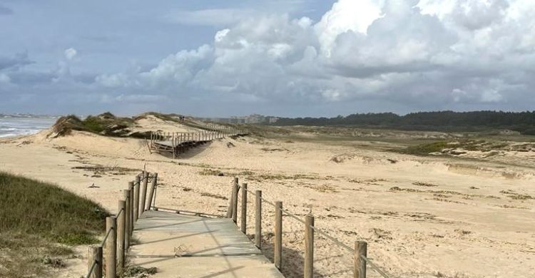 Suspensa colocação de parte dos passadiços: PSD critica presidente da Câmara