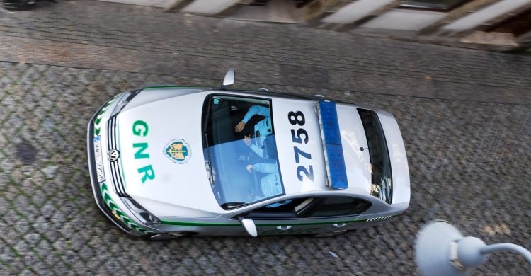 Vila do Conde: detenção por captura ilegal de aves