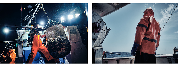 Vila do Conde: do mar chegam fotografias “imperdíveis”