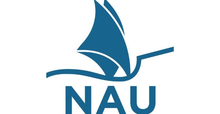 Vila do Conde : desejo para 2025 (questionário)- NAU