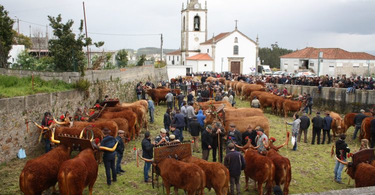 Vila do Conde: eis que chega a antiga Feira Anual de Bagunte