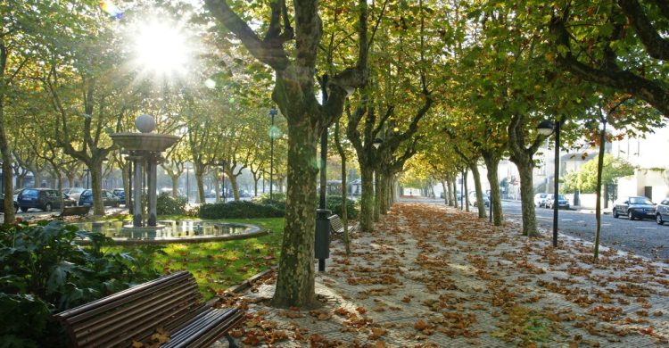 Vila do Conde: jardins da AV. Júlio Graça voltam a estar ocupados. “Parque Neiva” gratuito