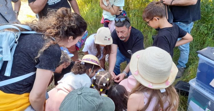 Vila do Conde: associação celebra aniversário com iniciativa ambiental (fotos)