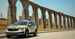 Vila do Conde: caçador detido em flagrante delito