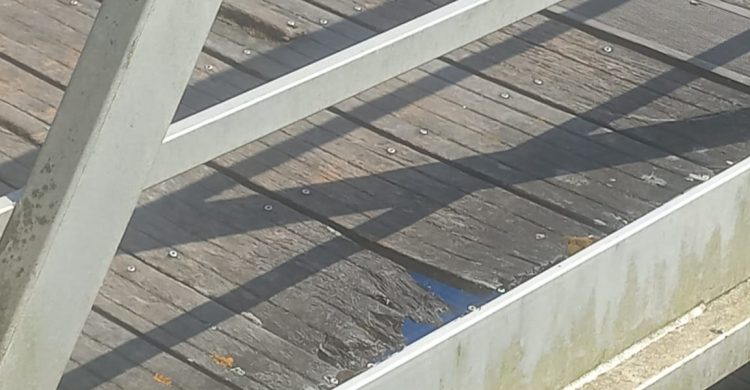 Vila do Conde: “marina” em degradação (fotos)