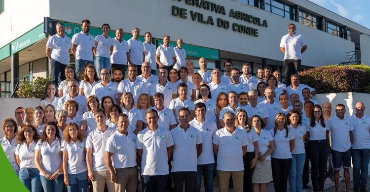 Vila do Conde: cooperativa entre as maiores do país no ramo agrícola