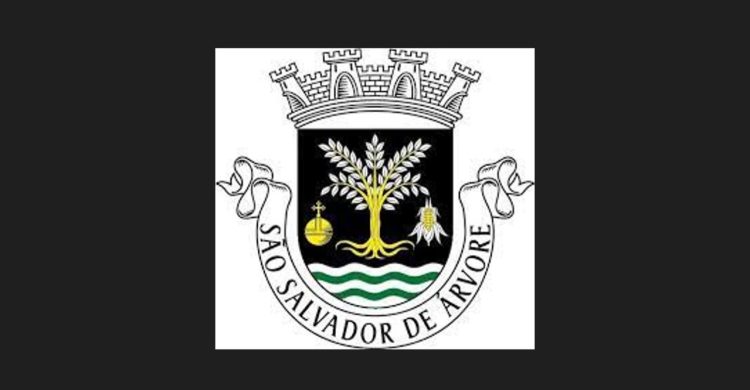 Autárquicas / Árvore: PS conquista Junta que esteve na NAU