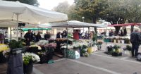 Vila do Conde: já há feira de flores no mercado