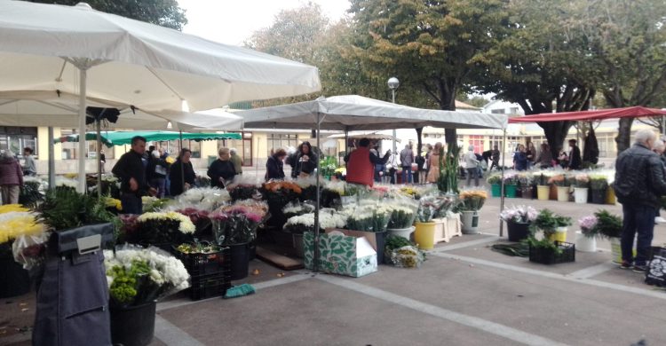 Vila do Conde: já há feira de flores no mercado