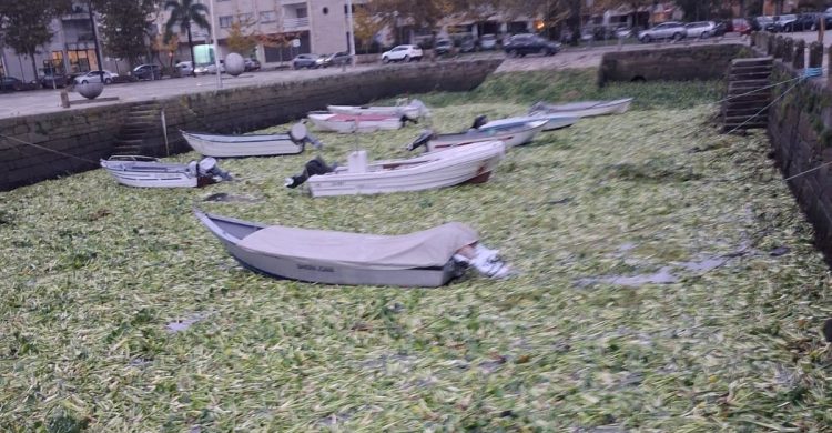 Vila do Conde: PCP exige medidas da Câmara contra “situação calamitosa”